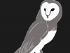 BarnOwl