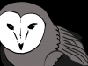 BarnOwl2