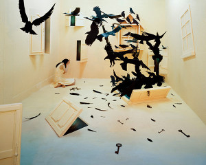 Black birds, 2009