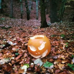 My pumpkin, released into a pile of leaves in the woods after Halloween